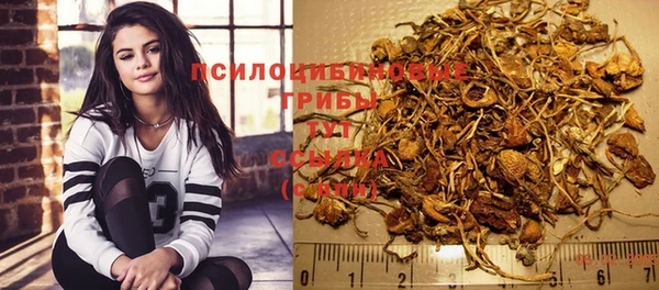 прущие крисы Алексеевка