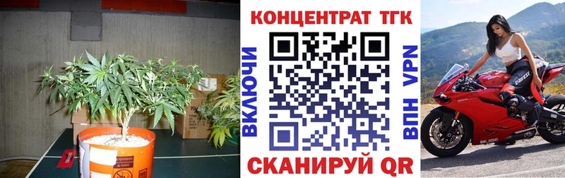 что такое   omg tor  Дистиллят ТГК Wax  Тюмень 